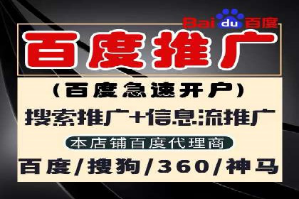 某品牌SEM推广策略的成效与启示